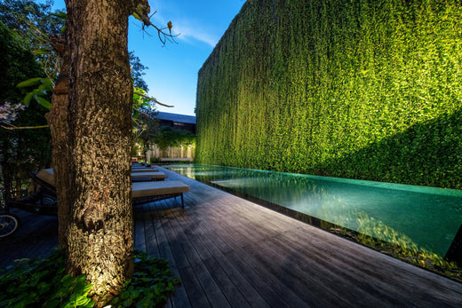 The Thailand Hotel Pool of Our Dreams