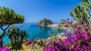 Ischia Island Italy, rocky cliffs overlooking blue ocean and pink flowers