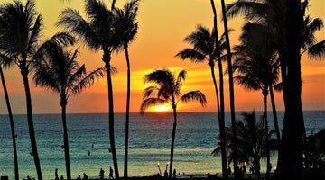 Maui, Hawaii sunset with palm tree silhouettes against beach scene