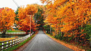 6 Must-Experience New England Drives For Spectacular Fall Foliage
