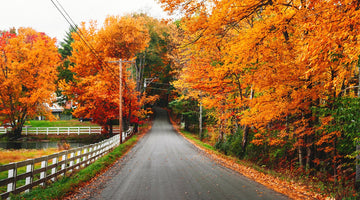 6 Must-Experience New England Drives For Spectacular Fall Foliage