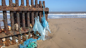 Fence on beach with plastic bags hanging off side