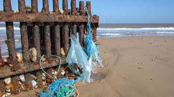 Fence on beach with plastic bags hanging off side