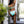 Hali Bralette Bikini Top - Mint Chip