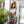 Kailini Bikini Bottom - Mint Chip
