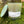 Forest Bathing Candle